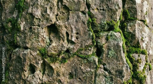Close-up of rugged rock surface with green moss