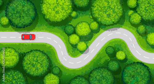 Bild auf Leinwand Top view vector illustration of a red car driving on a winding road through a lu