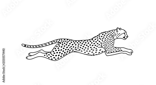 Photography Cheetah Running Silhouette, Fast Animal, Athleticism, Wild Cat, Minimalist Line