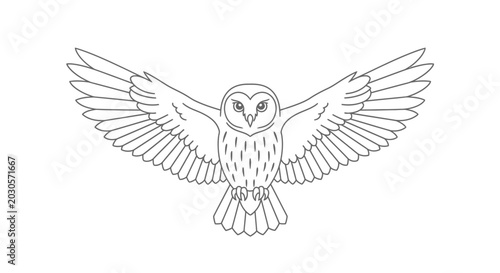 Fotografia Outline Drawing of an Owl in Flight with Wings Spread Wide