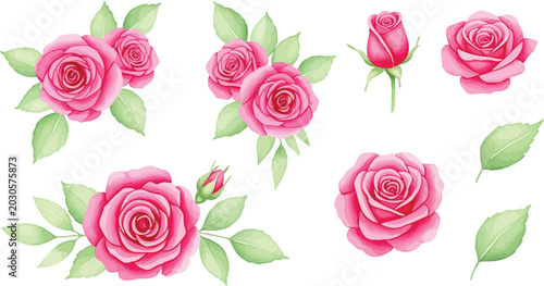 A beautiful bouquet of fresh pink and red roses isolated on a white background, making a perfect floral gift for a romantic Valentine celebration or wedding day