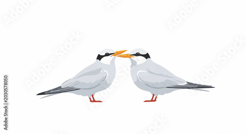 Two elegant white birds with orange beaks and black markings are sharing a tender moment