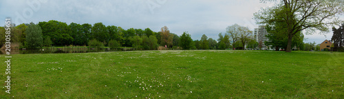 Obraz na płótnie A wide panoramic view of a green park meadow dotted with small white flowers, mature trees and a calm lake, framed by residential buildings under a cloudy spring sky, conveying peaceful urban nature