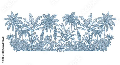 Tropical Jungle Border Illustration: Palm Trees, Banana Leaves, Exotic Plants
