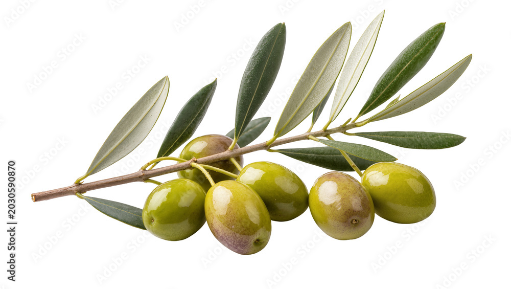Obraz premium Fresh green olives with leaves on branch, isolated on transparent background