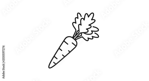 Bild auf Leinwand Hand-drawn carrot icon, simple line art illustration of fresh vegetable