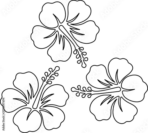 Hibiscus flower line art outline illustration for tropical Hawaiian paradise and summer beach floral concepts