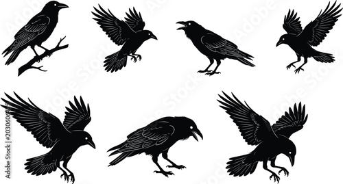 Foto Black silhouette collection of crows in various poses including perched, flying,