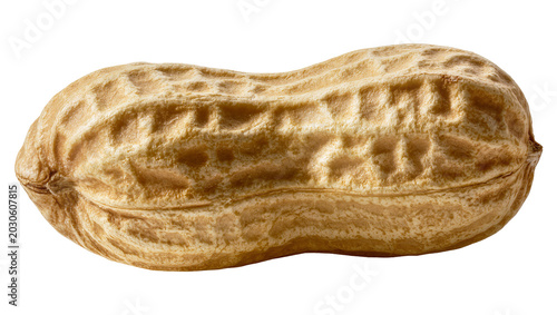 Bild auf Leinwand Single whole peanut in shell with textured brown skin, isolated on transparent b