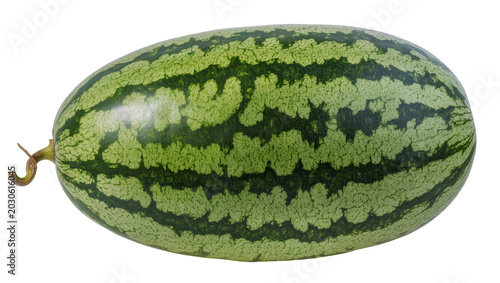 Foto Whole striped green watermelon with stem, isolated on transparent background