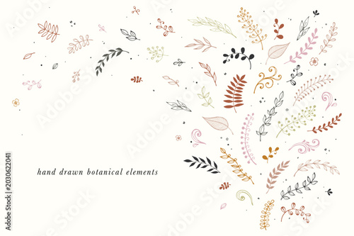 Vector botanical background. Hand drawn branches, ornate elements and floral ...