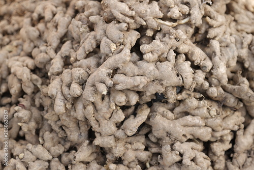 Photography Ginger, an aphrodisiac plant with many other beneficial properties when consumed