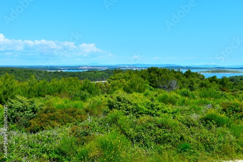 Foto Mediterranean shrubs at Kamenjak in Istria, Croatia
