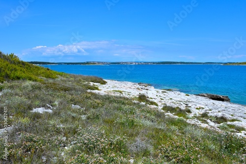 Fotografia Meadow and rocks at the Adriatic sea coast at Kamenjak in Istria, Croatia