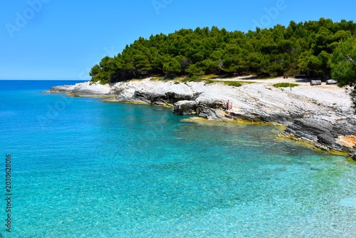 Canvas Print Rocky coastline with a pine forest above at Kamenjak in Istria, Croatia