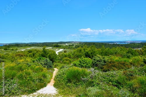 Fotografie View of Kamenjak in Istria, Croatia with mediterranean shrubs and bushes