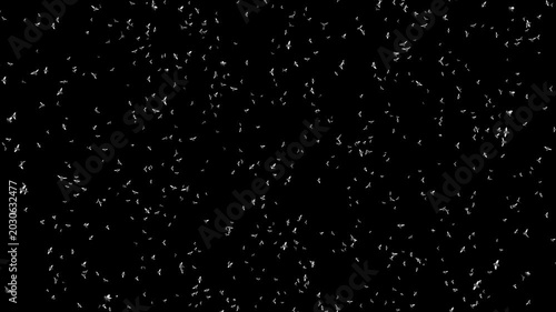 A swarm of flying flies. Insects on a black background. A massive invasion of flies. Animation of flying insects.