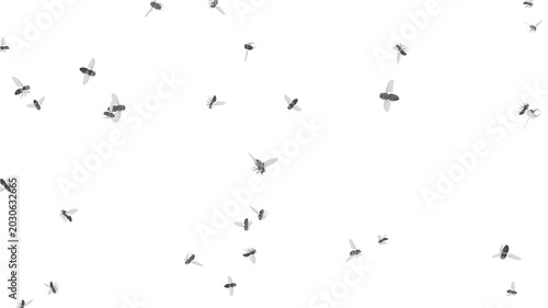 Lots of houseflies in flight. Realistic swarm of flies on the move. A swarm of insects on a white background.