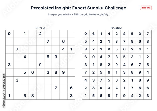 Percolated Insight: Expert Sudoku Challenge