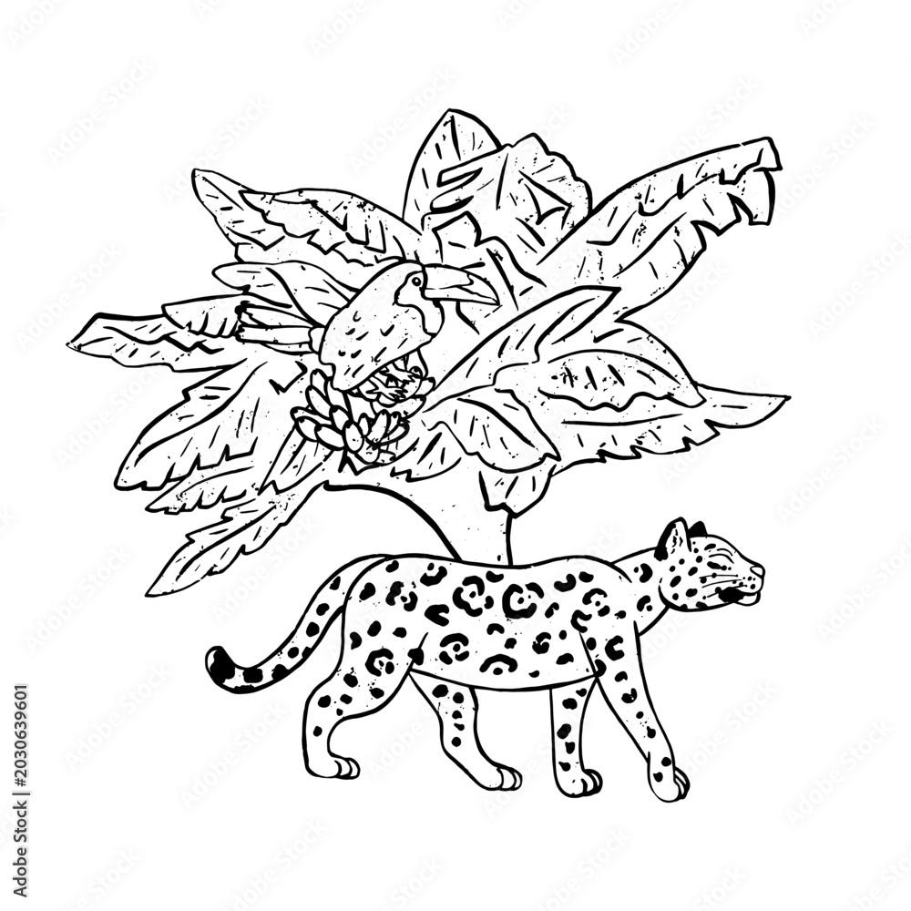 Fototapeta premium Black and white textured vector illustration of a wild jaguar walking past tropical banana tree with toucan bird. Naive style monochrome jungle wildlife animal clipart