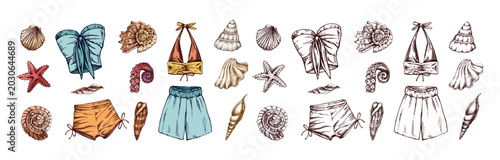 Konstfotografi Hand drawn vintage summer swimwear and seashell vector collection in pastel engr