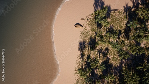 Billede på lærred Aerial View of Tropical Beach with Palm Trees and Sandy Shore
