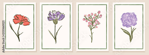 Fotografie Summer watercolor pastel flower set