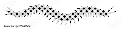 Foto Abstract black and white centipede vector, modern minimalist insect illustration
