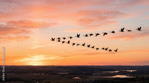 Geese Flying in V Formation at Sunset