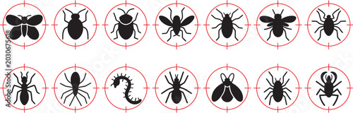 Foto pest control