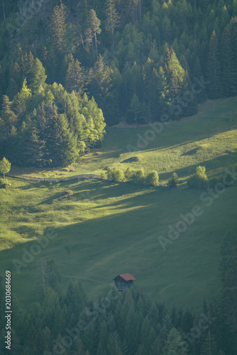 Bild auf Leinwand Meadow