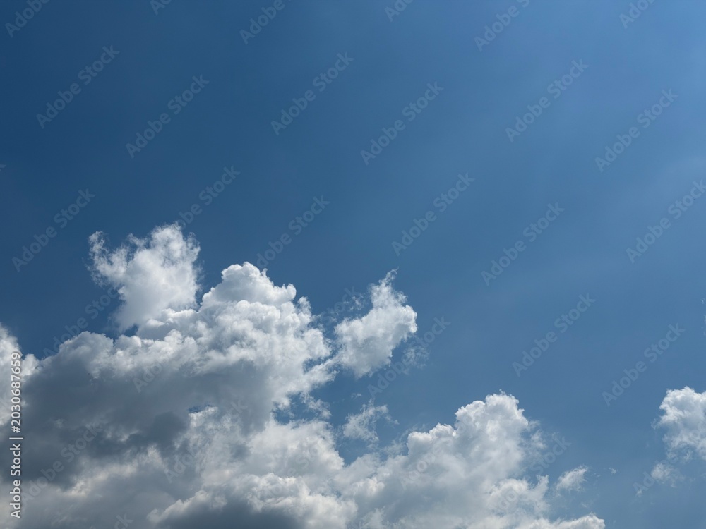 Fototapeta premium Clear blue sky with white cumulus clouds