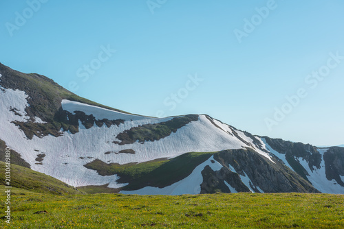 Bild auf Leinwand Scenic view from flowering grassy hilly meadow to snowy rocky mountain ridge under clear blue sky in sunny day