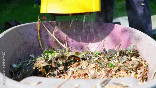 Freshly shredded twigs and leaves cascading into a wheelbarrow from a wood chipper chute, transforming garden waste into nutrient-rich mulch for effective landscaping and gardening