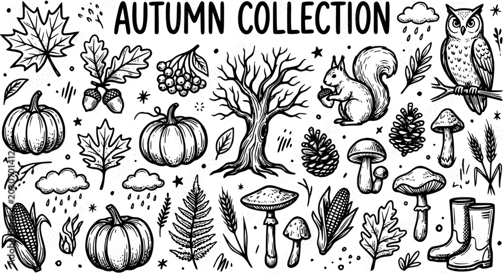 Fototapeta premium Black and White Line Art Autumn Collection: Pumpkins, Squirrel, Owl, Tree, Mushrooms, Acorns, Corn, Leaves, Boots, Pinecones, Clouds, Raindrops