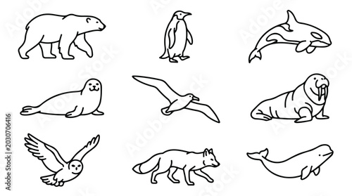 Obraz na płótnie Arctic animals line art icon set, 9 minimalist polar wildlife vector illustratio