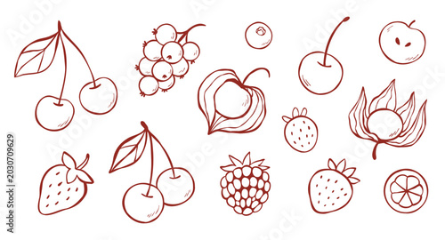 Tableau sur toile Line clip art set of cherry, strawberry, currant, cape gooseberry, Physalis peruviana, blackberry, mangosteen