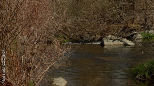 Nature landscape with a river streaming past bare winter branches and moss co...