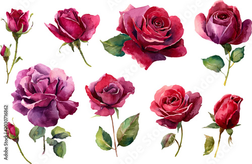 set of roses