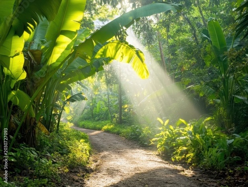 A serene forest path illuminated by sunlight.