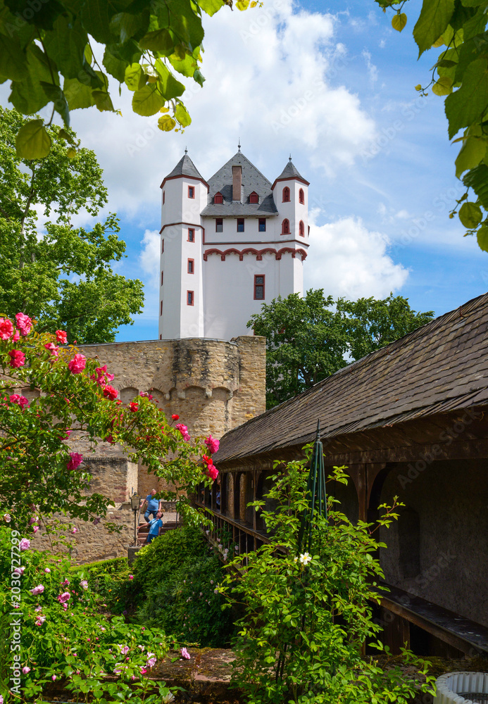 Obraz premium Historic castle tower with rose garden and old stone wall in Eltville am Rhein beneath blue sky.