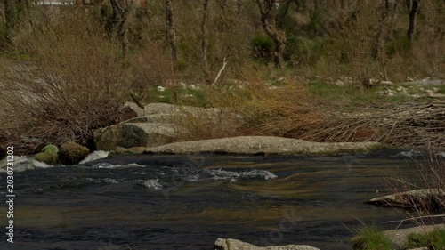 Scenic river flowing over granite rocks and rapids
