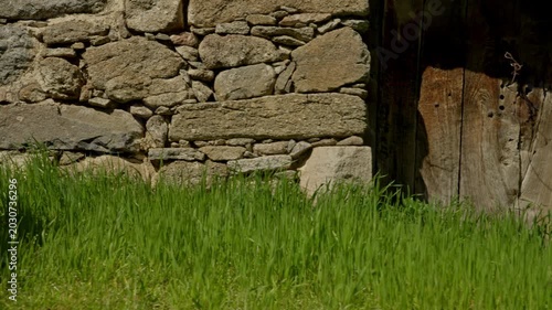 Stone wall featuring an aged wooden door