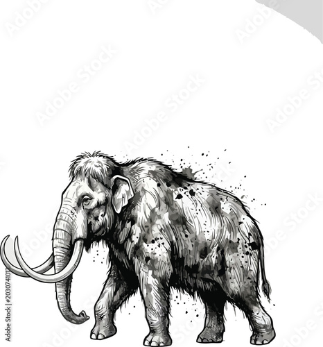 Bild auf Leinwand Woolly Mammoth Ink Sketch Illustration on White Background