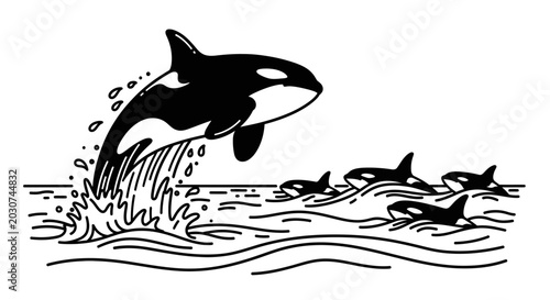 Konstfotografi Black and white illustration of a pod of orca whales swimming in the ocean