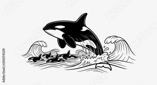 Schilderij op canvas A detailed hand drawn illustration of an orca whale jumping out of ocean waves