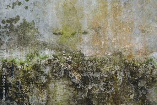 Weathered concrete wall with moss and moldy growth patterns