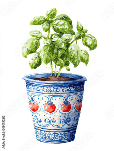 Basil Plant in Blue and White Ceramic Pot, Watercolor Illustration