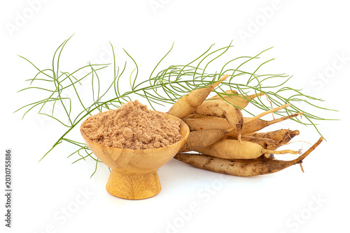 Shatavari roots ,powder and branch green leaves isolated on white background.