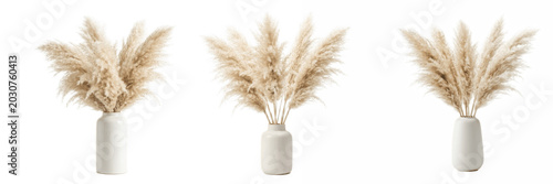 Neutral pampas grass bouquets in minimalist ceramic vases isolated on white, soft boho home decor arrangement for living room styling, weddings and cozy interior designs

